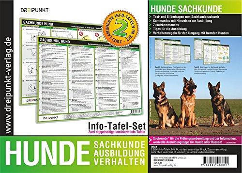 Hunde Sachkunde: Hunde - Sachkunde, Ausbildung und Verhalten von 20/40-Hunden