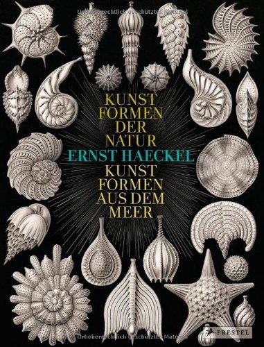 Ernst Haeckel: Kunstformen der Natur - Kunstformen aus dem Meer