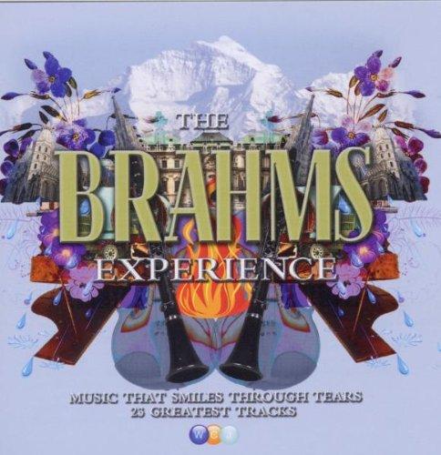 The Brahms Experience