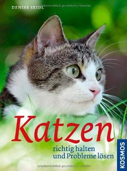 Katzen richtig halten und Probleme lösen