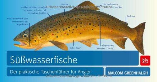 Süßwasserfische: Der praktische Taschenführer für Angler