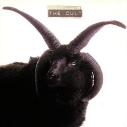 The Cult