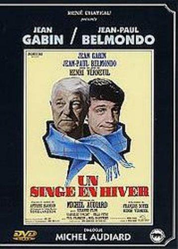 Un singe en hiver [FR Import]