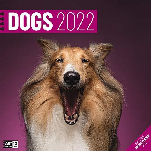 Dogs 2022, Wandkalender / Broschürenkalender im Hochformat (aufgeklappt 30x60 cm) - Hunde-Kalender mit Monatskalendarium zum Eintragen: Inklusive Jahresplaner