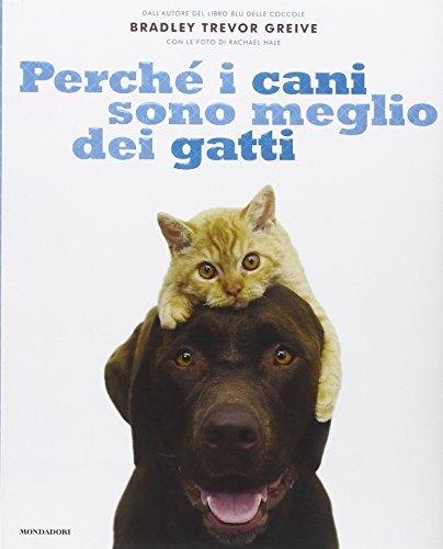 Perché i cani sono meglio dei gatti