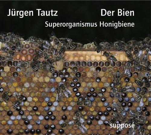 Der Bien: Superorganismus Honigbiene