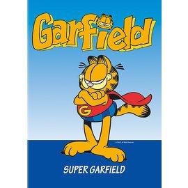 Garfield et ses amis : Super Garfield [FR Import]