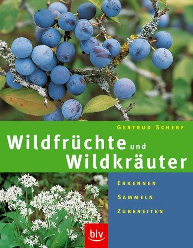 Wildfrüchte und Wildkräuter. Erkennen, Sammeln, Zubereiten - mit Sammelkalender und Rezepten