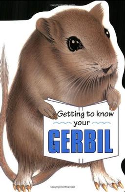 Getting to Know Your Gerbil