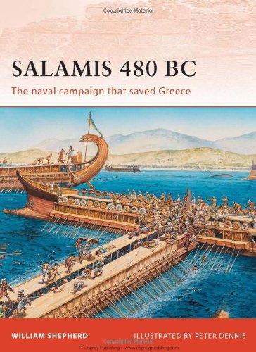 Salamis 480 BC (Campaign, Band 222)