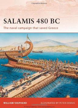 Salamis 480 BC (Campaign, Band 222)