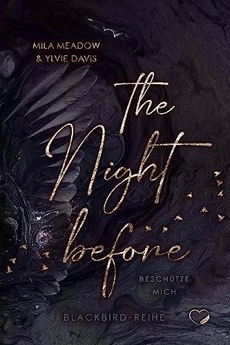 The Night before: Beschütze mich (Romance Suspense) (Blackbird)