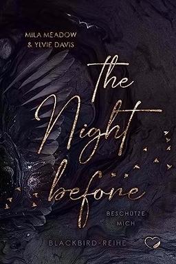 The Night before: Beschütze mich (Romance Suspense) (Blackbird)