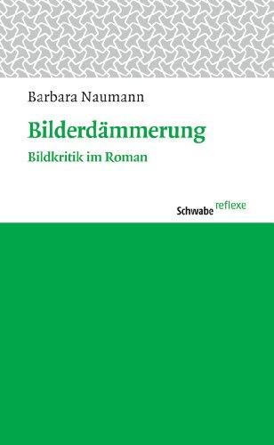 Bilderdämmerung: Bildkritik im Roman