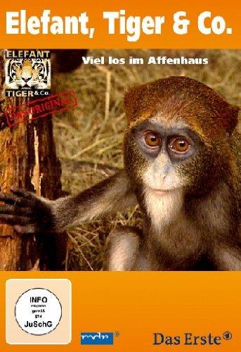 Elefant, Tiger & Co., Teil 22 (2 DVDs)