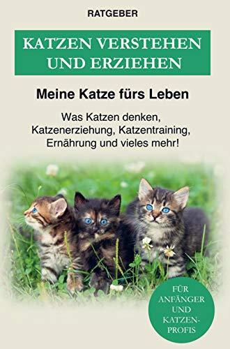 Katzen erziehen und verstehen: Was Katzen denken, Katzenerziehung, Katzentraining, Ernährung und einiges mehr - Der Katzenratgeber