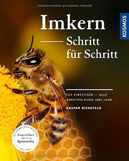 Imkern Schritt für Schritt: Für Einsteiger - alle Arbeiten rund ums Jahr