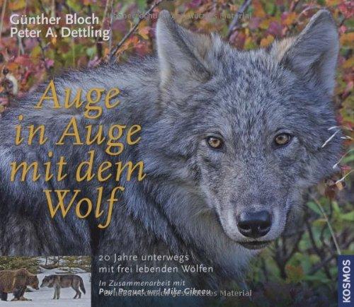 Auge in Auge mit dem Wolf: 20 Jahre unterwegs mit frei lebenden Wölfen