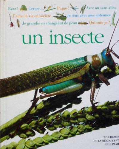 Un Insecte