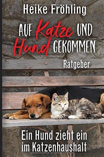 Auf Katze und Hund gekommen: Ein Hund zieht ein im Katzenhaushalt – Ratgeber