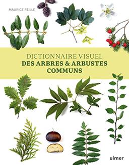 Dictionnaire visuel des arbres & arbustes communs