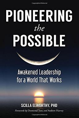 Pioneering the Possible: Awakened Leadership for a World That Works (Sacred Activism)