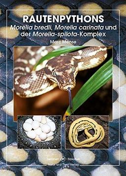 Rautenpythons: Moralia bredli, Moralia cardinata und moralia spilota-Komplex (Terrarien-Bibliothek)