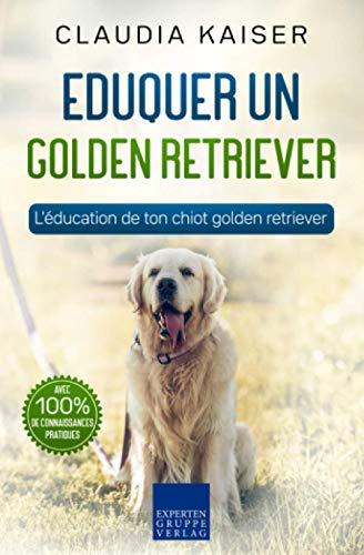 Eduquer un golden retriever: L'éducation de ton chiot golden retriever