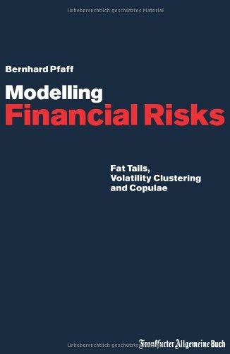 Modelling Financial Risks: Fat Tails, Volatility Clustering and Copulae