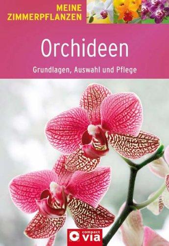 Orchideen: Grundlagen, Auswahl und Pflege. Orchideenzauber für die Wohnung