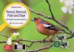 Amsel, Drossel, Fink und Star. Die Vögel in unserem Garten. Kamishibai Bildkarten und Memo-Spiel: Erzähltheater für Kita-Kinder mit Sachwissen zu ... für unser Erzähltheater Kamishibai)