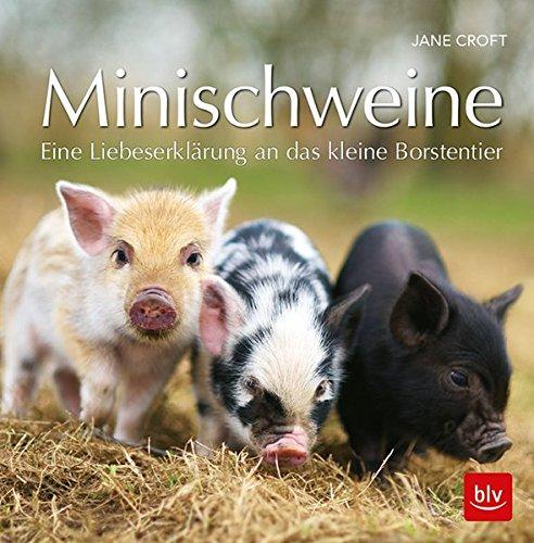 Minischweine: Eine Liebeserklärung an das kleine Borstentier