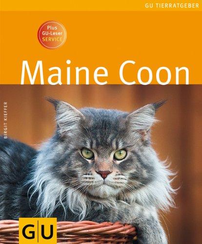 Maine Coon (GU Tierratgeber)