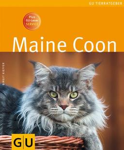 Maine Coon (GU Tierratgeber)