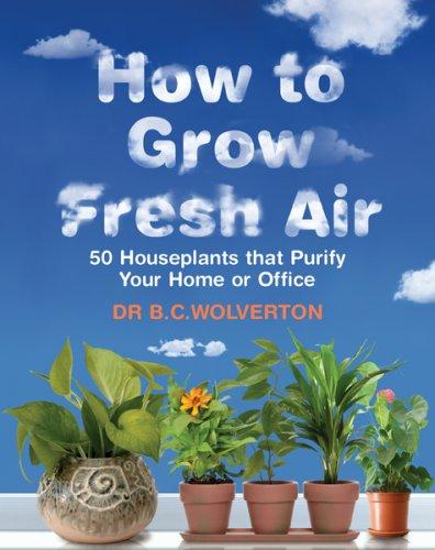 How to Grow Fresh Air: 50 Houseplants That Purify Your Home or Office