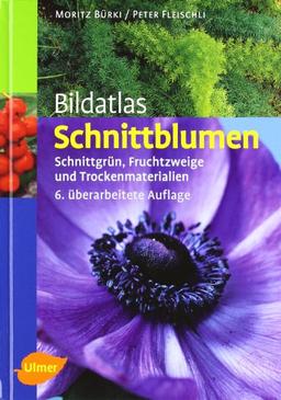 Bildatlas Schnittblumen: Schnittgrün, Fruchtzweige und Trockenmaterialien