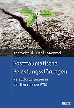 Posttraumatische Belastungsstörungen: Herausforderungen in der Therapie der PTBS