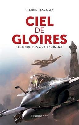 Ciel de gloires : histoire des as au combat