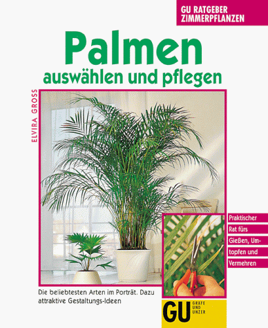 Palmen auswählen und pflegen