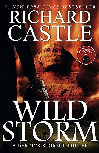 Wild Storm (a Derrick Storm Novel) (Castle) (Derrick Storm 5)