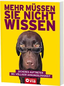 Mehr müssen Sie nicht wissen: Sicheres Auftreten bei völliger Ahnungslosigkeit