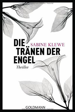 Die Tränen der Engel: Thriller (Louis und Salomon ermitteln, Band 4)