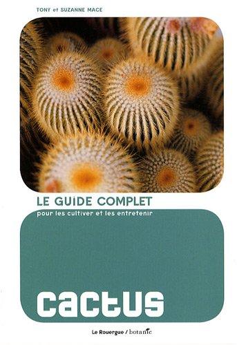 Cactus : le guide complet pour les cultiver et les entretenir