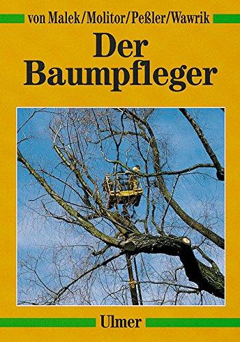 Der Baumpfleger