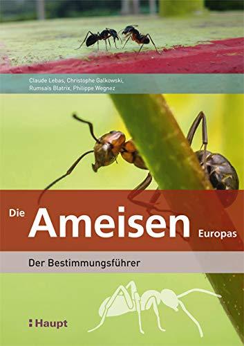 Die Ameisen Europas: Der Bestimmungsführer