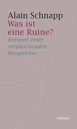 Was ist eine Ruine?: Entwurf einer vergleichenden Perspektive (Historische Geisteswissenschaften. Frankfurter Vorträge)