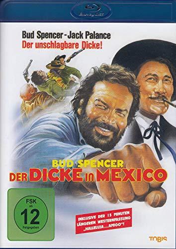 Der Dicke in Mexico