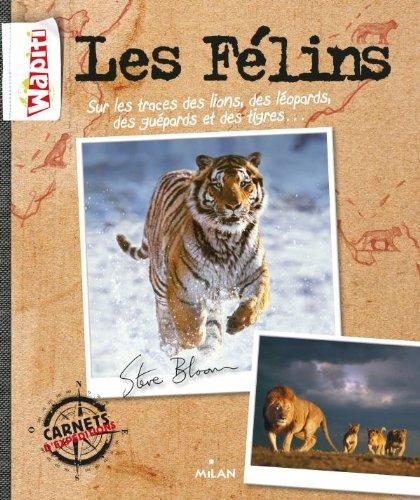 Les félins : sur les traces des lions, des léopards, des guépards et des tigres...