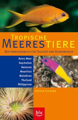 Tropische Meerestiere. Bestimmungsbuch für Taucher und Schnorchler: Rotes Meer, Seychellen, Komoren, Mauritius, Malediven, Thailand