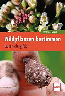 Wildpflanzen bestimmen: Essbar oder giftig?